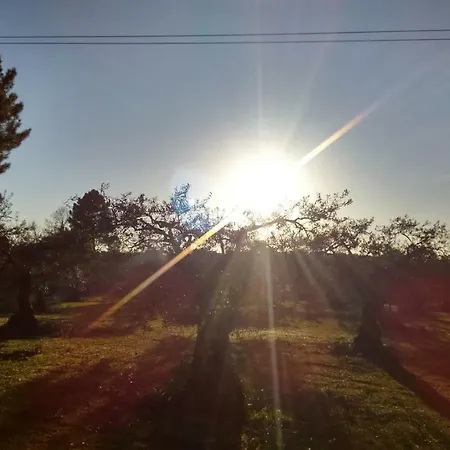 Casa Tiburcio * 아레나스 데 산 페드로