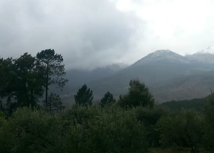 Casa Tiburcio 아파트